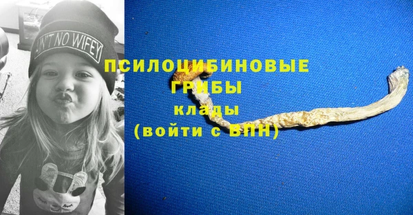 трава Бежецк