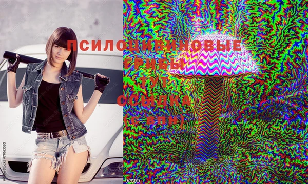 СК Михайловск