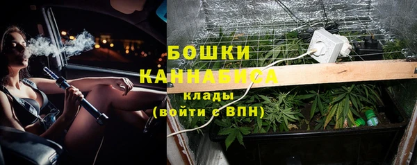 СК Михайловск