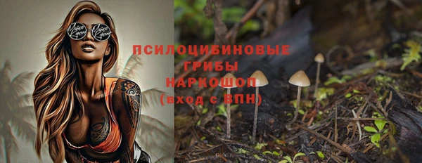 СК Михайловск