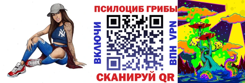 Галлюциногенные грибы Psilocybe  кракен рабочий сайт  Яблоновский 